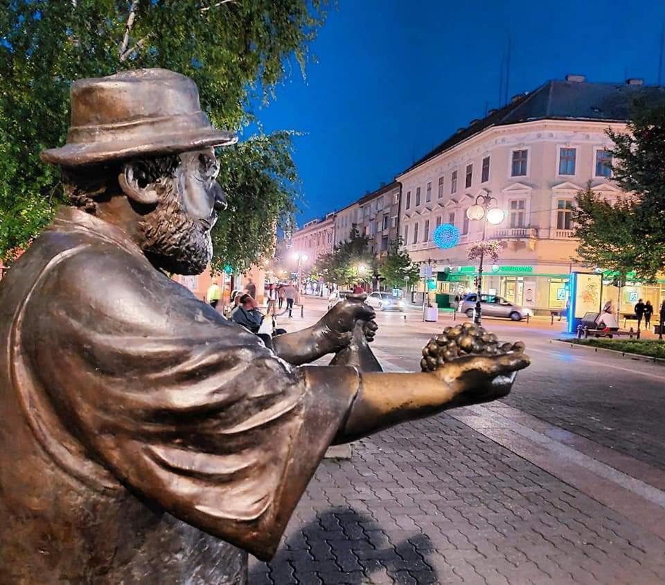 Ferienwohnung Hulk Vrsac Exterior foto