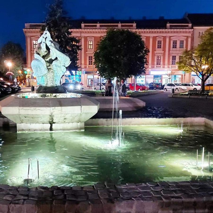 Ferienwohnung Hulk Vrsac Exterior foto