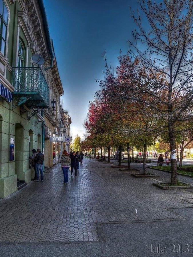Ferienwohnung Hulk Vrsac Exterior foto